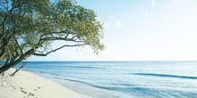 Luxury Barbados holidays